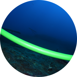 Image of undersea cable
